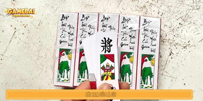 Cách Chơi Bài Tam Cúc Online Và Kinh Nghiệm Cược Hay Nhất Tìm hiểu về bài Tam Cúc