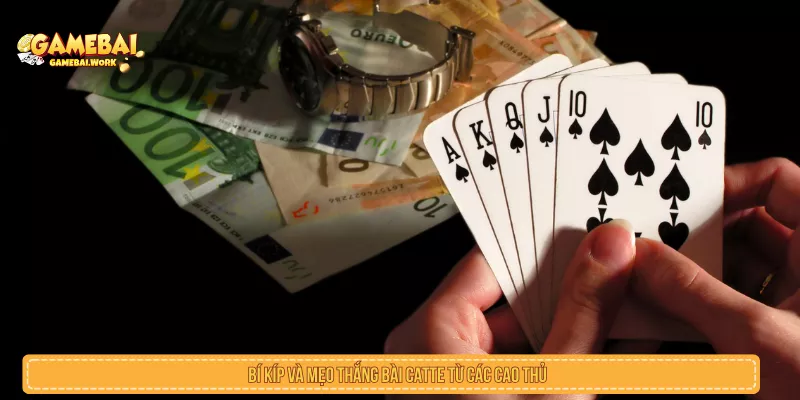 Bí kíp và mẹo thắng bài Catte từ các cao thủ